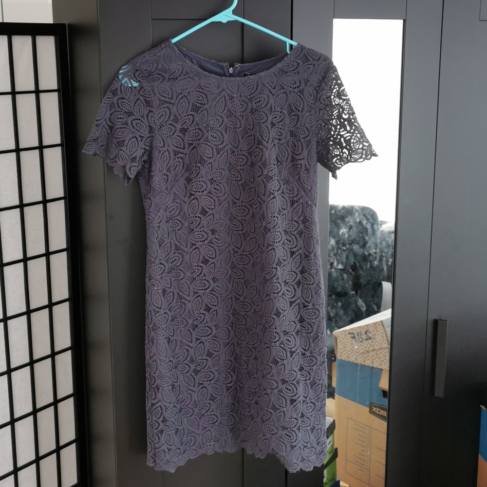 Ann Taylor Lace Dress